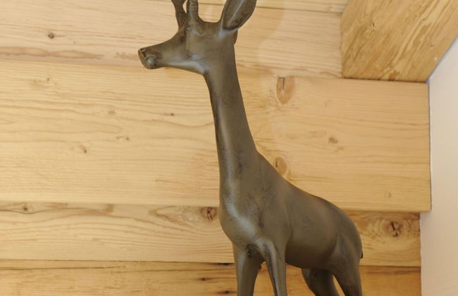 Chalet in ski Area in Wagrain With Sauna and Pool - Foto 29