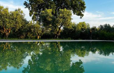 Tenuta Paino - Foto 1