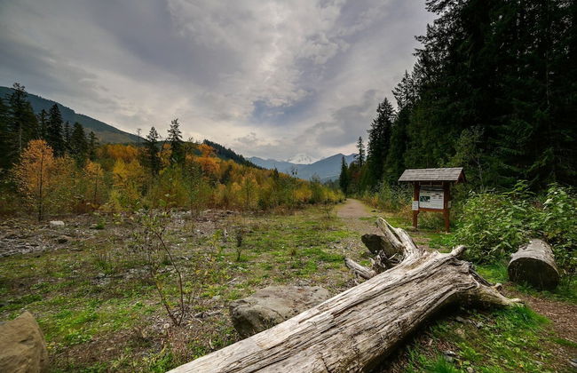 16GS - Hot Tub - BBQ - Pets Ok - Sleeps 2 - Foto 18