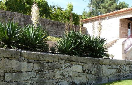 Quinta do Correia - Foto 14