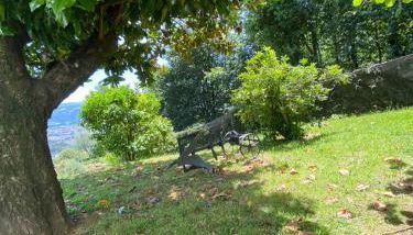 Lugar do Pombal - Foto 5, Garden