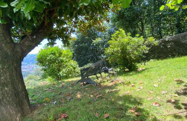 Lugar do Pombal - Foto 5