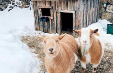 Historic Renovated Barn at Boorn Brook Farm - Manchester Vermont - Photo 43
