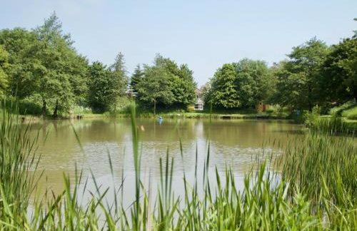 The Chestnuts Holiday Cottages - Foto 1