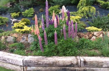 LA CASA d'en RAFEL - Foto 39