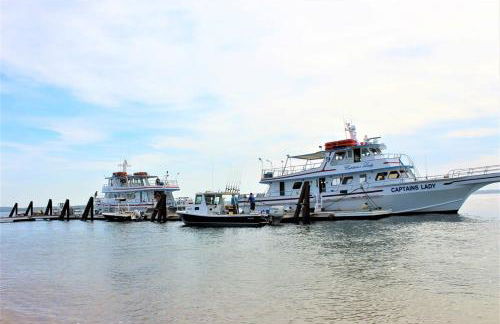 Walk to Beach Playground Lighthouse North End - Foto 62