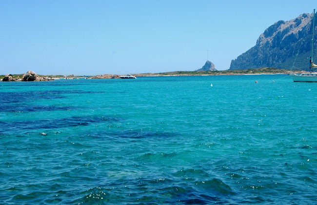 Il Borgo C8 700m From The Beach - Photo 19