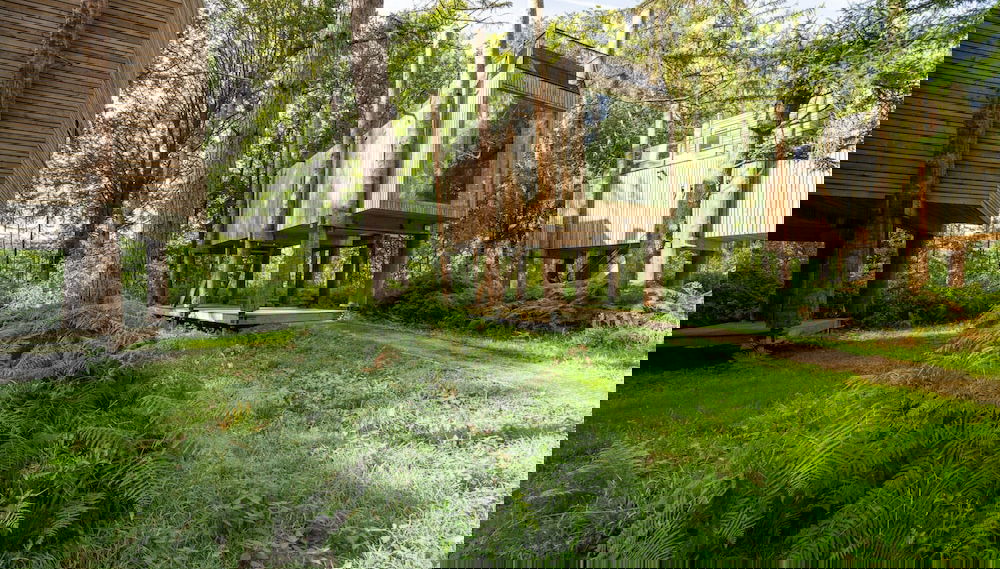 The Treeloft by Belvilla - Foto 1, Imagen principal