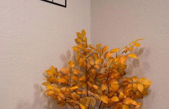 Mins to ATX most iconic eateries, bar and places - Foto 7