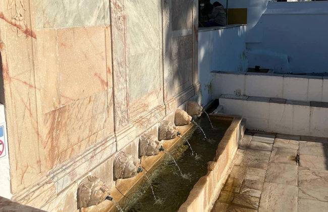 Visite guidée dans Alandroal - Photo 3