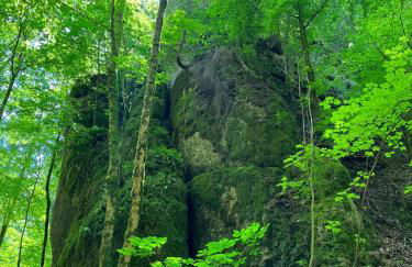FeWo Hafner "Zuhause mit Ausblick" - Foto 36