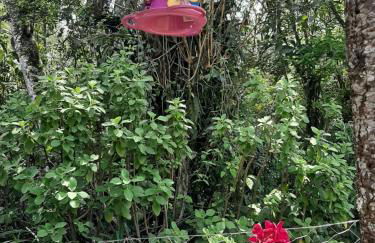 Chale Raio De Luz - Photo 31