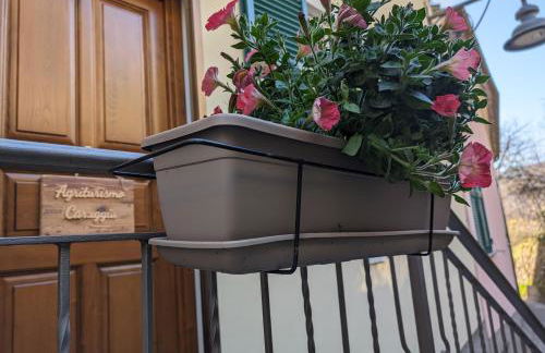 Agriturismo Caruggiu di via vecchia - Foto 6