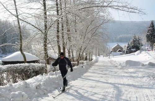 Ferienwohnungen Bleyl Rittersgrün - Foto 15