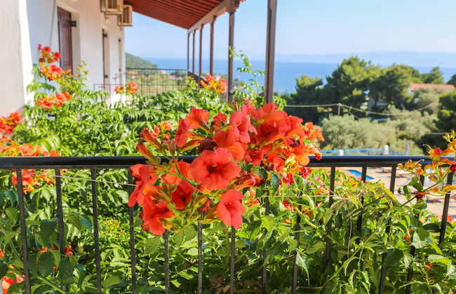 Angelina Studios - Foto 19