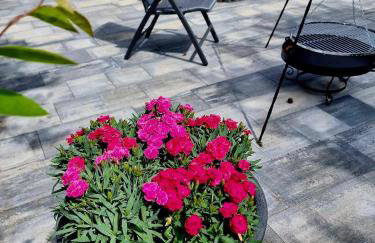 Domek de Janauis - Foto 46