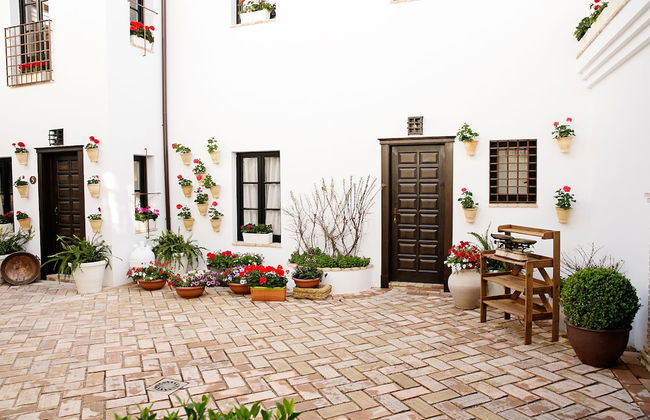 Suites La Posada De Pilar - Foto 16