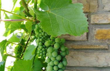 Ferienwohnung Lavendel - Foto 16