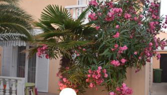 Apartment Vujic - Foto 5