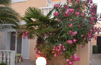 Apartment Vujic - Foto 5