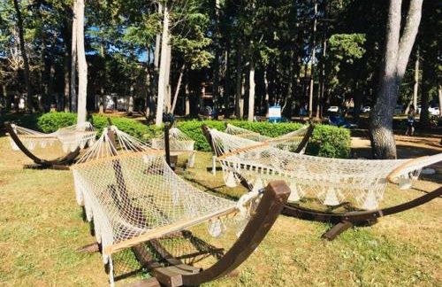 APARTMANI NIEL - Photo 63