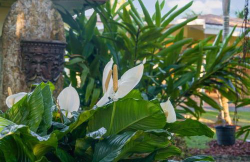 The Garden House Hot Tub Pool and Lush Garden Oasis - Foto 38