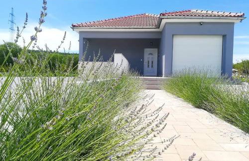 Modern Guest House Rak with beautiful pool - Photo 44