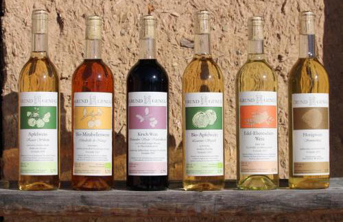 Wohnen im Denkmal - Foto 28