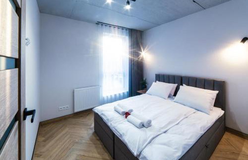 Apartamenty I SORAU Old Town - Foto 66