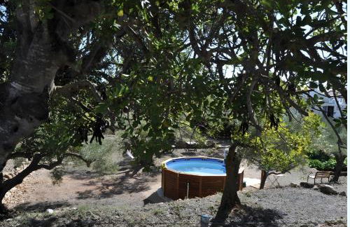 Casa Arbol - Photo 12