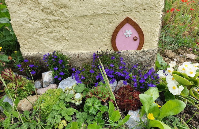 Dartmoor Reach Alpaca Farm - Foto 37