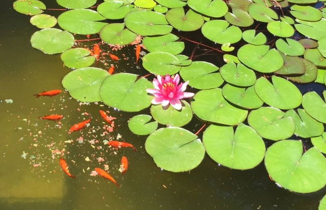 Park Residence Cicladi - Traditional Sicilian Hospitality - Photo 17