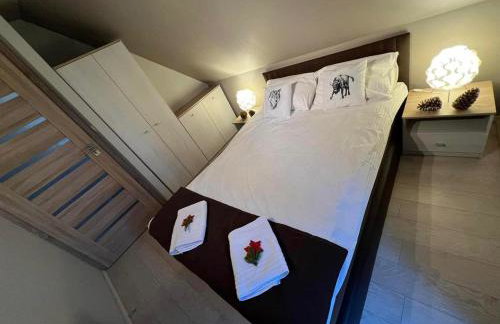 BIESZCZADZKI RAJ z prywatną działką przy linii brzegowej Jeziora Solińskiego Sauna Basen sezonowy - Foto 48