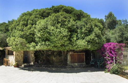 Agriturismo Il Paradiso - Foto 73