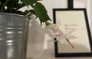 Cozy Studio Apartment - Foto 13