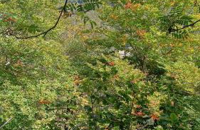 El Paller Mas Vidalou - Foto 18