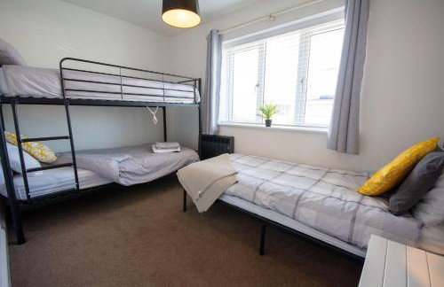 Pine Cones - Foto 18