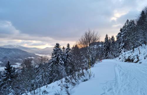 Les Randogodilleurs avec Jacuzzi à 2kms des pistes et 350m du Théatre du Peuple ! - Foto 17