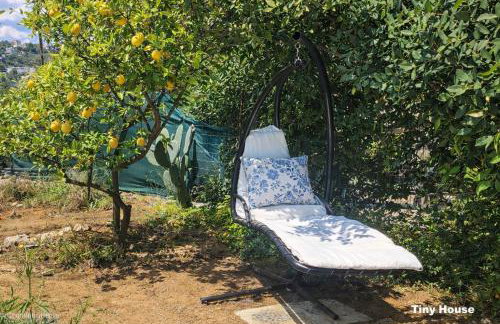 dream tiny house & luxury tent - Foto 38