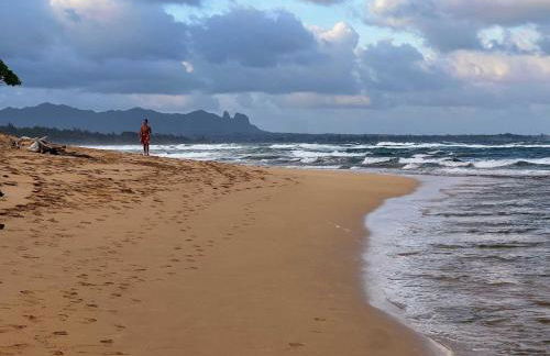 Kapaa Sands 10 - Foto 43