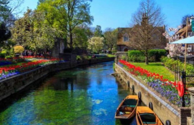 Countryside Annex- Sleeps 2, Free Parking & Garden - Foto 28