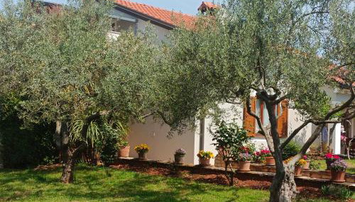 Apartment AnaLaura - Foto 3, Garden