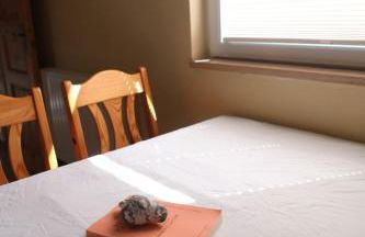 Lütt Hus Rügen, Ferienhaus in Strandnähe - Foto 39