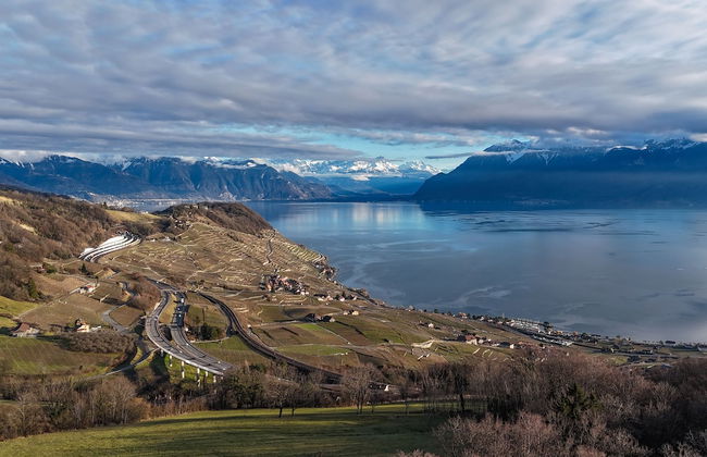 domaine du deven - Foto 48