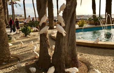 Cometa Center - Photo 36