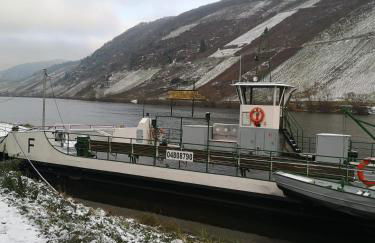 Ferienhaus zur Weinfee - Foto 45