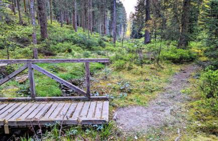 Blackforest Apartment Schömberg - Foto 41