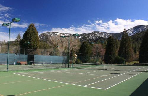 Bearly Connected, a brand new cabin in the woods - Foto 30