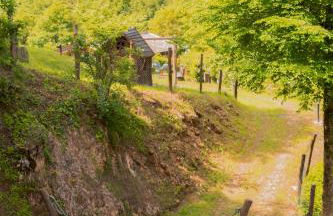 La Fontanina - Photo 45