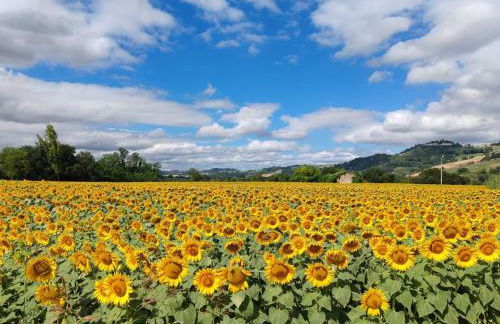 Inviting Holiday Home in San Costanzo With Swimming Pool - Foto 35